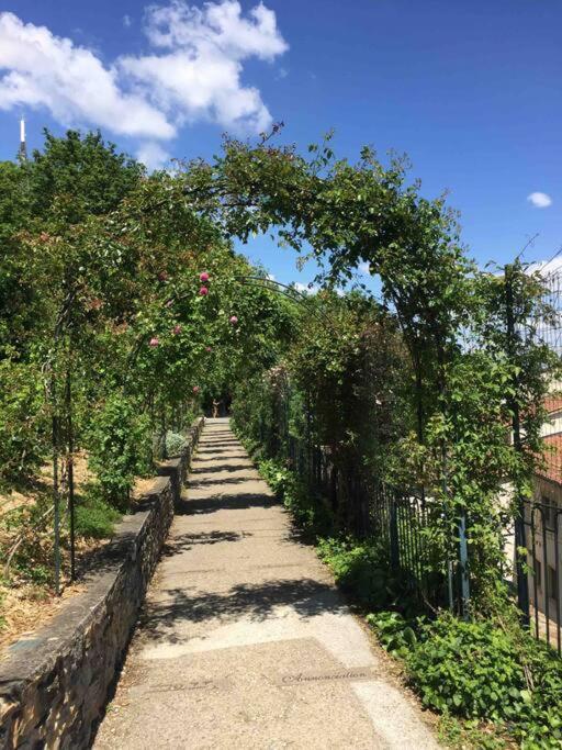 里昂Studio Close Fourviere Very Quiet & Small Terrace公寓 外观 照片